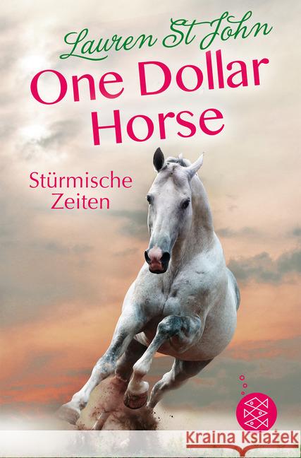 One Dollar Horse - Stürmische Zeiten St. John, Lauren 9783733501815 FISCHER Kinder- und Jugendtaschenbuch - książka
