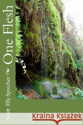 One Flesh Scott Elly Sprecher 9781499346763 Createspace - książka
