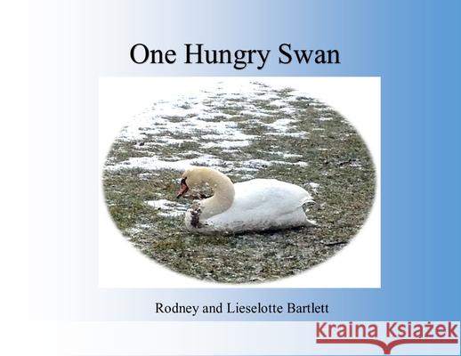 One Hungry Swan Rodney And Lieselotte Bartlett Lieselotte Bartlett 9780993785665 Retrack Press - książka