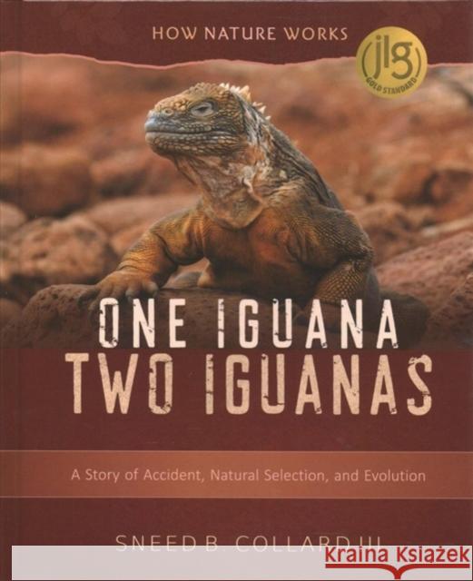 One Iguana, Two Iguanas: A Story of Accident, Natural Selection, and Evolution Sneed B. Collard 9780884486497 Tilbury House Publishers - książka