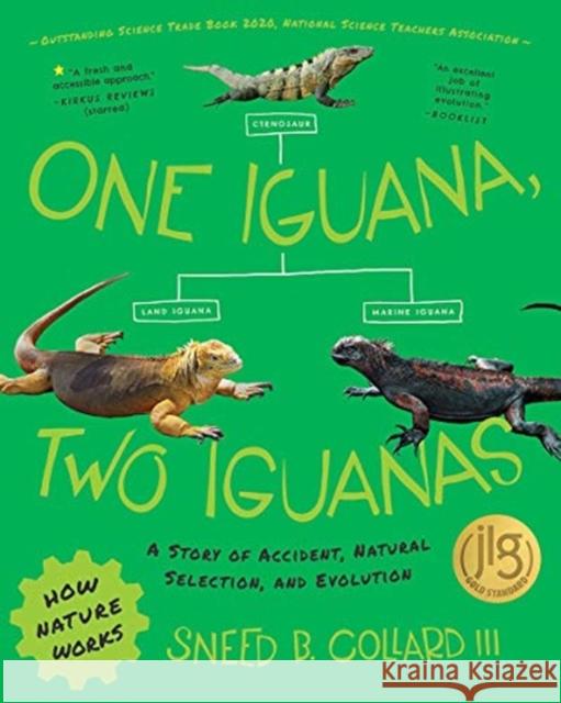 One Iguana, Two Iguanas: A Story of Accident, Natural Selection, and Evolution Sneed B. Collard 9780884486503 Tilbury House Publishers - książka