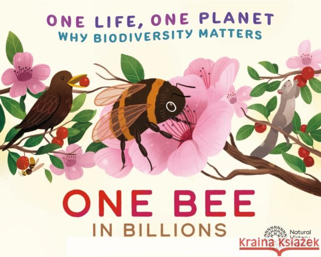 One Life, One Planet: One Bee in Billions: Why Biodiversity Matters Sarah Ridley 9781526323101 FRANKLIN WATTS - książka
