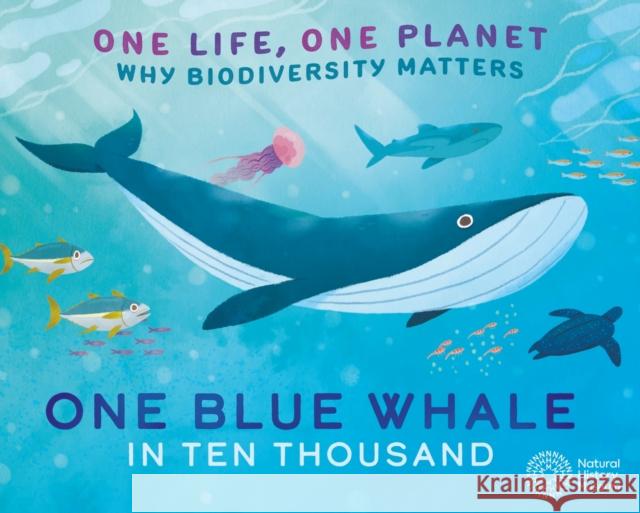 One Life, One Planet: One Blue Whale in Ten Thousand: Why Biodiversity Matters Sarah Ridley 9781526323064 FRANKLIN WATTS - książka