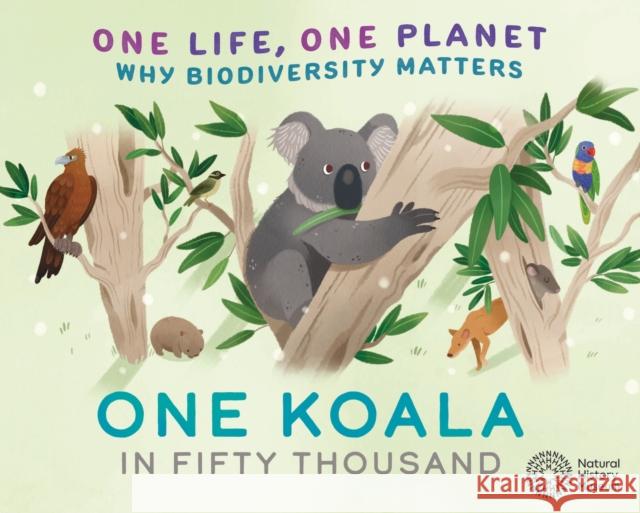 One Life, One Planet: One Koala in Fifty Thousand: Why Biodiversity Matters  9781526322944 FRANKLIN WATTS - książka