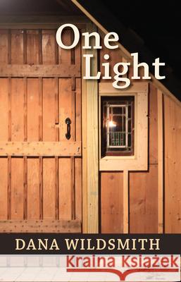 One Light: Poems Wildsmith, Dana 9781680031744 Texas Review Press - książka