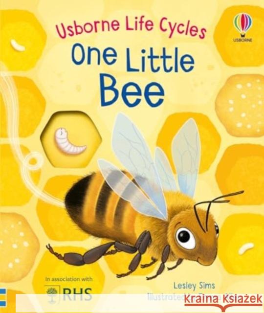 One Little Bee Lesley Sims 9781805312628 Usborne Publishing Ltd - książka