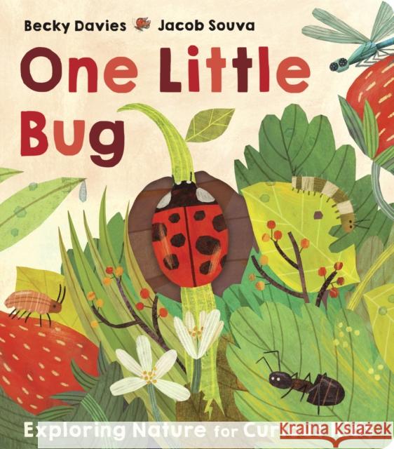 One Little Bug Becky Davies 9781801043281 Little Tiger Press Group - książka