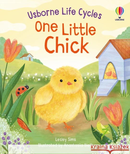 One Little Chick Lesley Sims 9781805312253 Usborne Publishing Ltd - książka