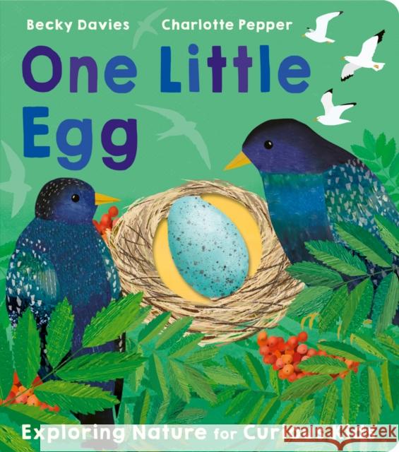 One Little Egg Becky Davies 9781801043236 Little Tiger Press Group - książka