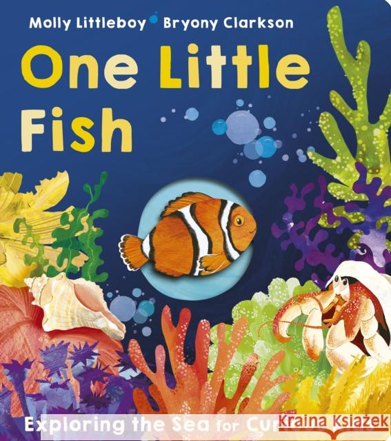 One Little Fish Molly Littleboy 9781801045650 Little Tiger Press Group - książka