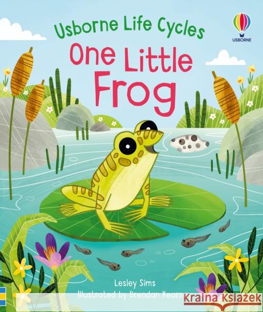 One Little Frog Lesley Sims 9781474998819 Usborne Publishing Ltd - książka