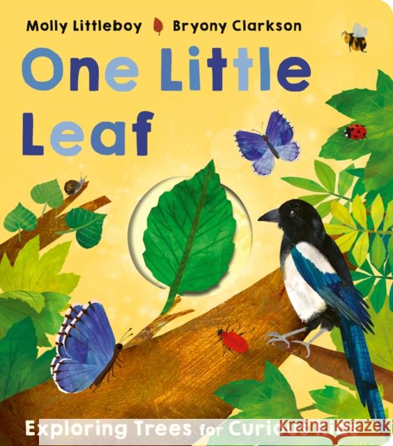 One Little Leaf Molly Littleboy 9781801044615 Little Tiger Press Group - książka
