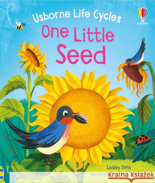 One Little Seed Lesley Sims 9781805312635 Usborne Publishing Ltd - książka