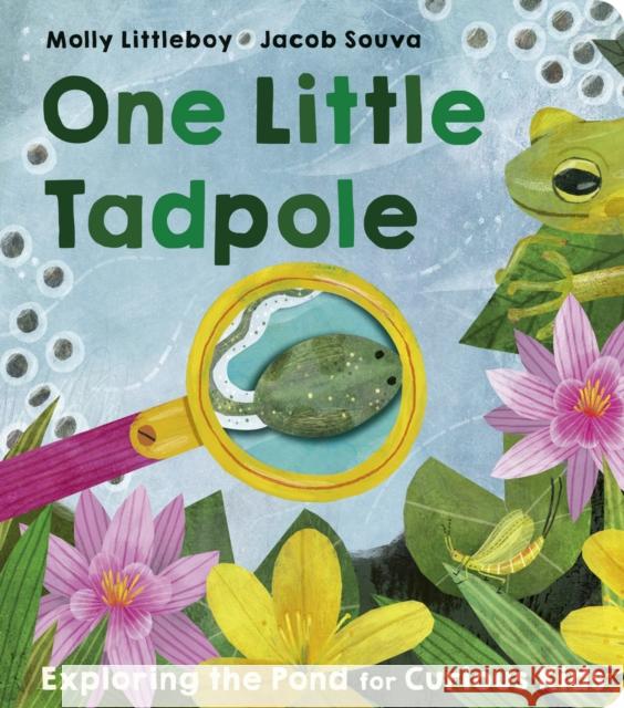 One Little Tadpole Molly Littleboy 9781801044349 Little Tiger Press Group - książka