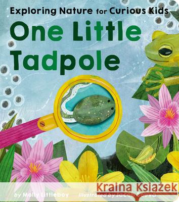 One Little Tadpole: Exploring Nature for Curious Kids Molly Littleboy Jacob Souva 9781664351431 Tiger Tales - książka