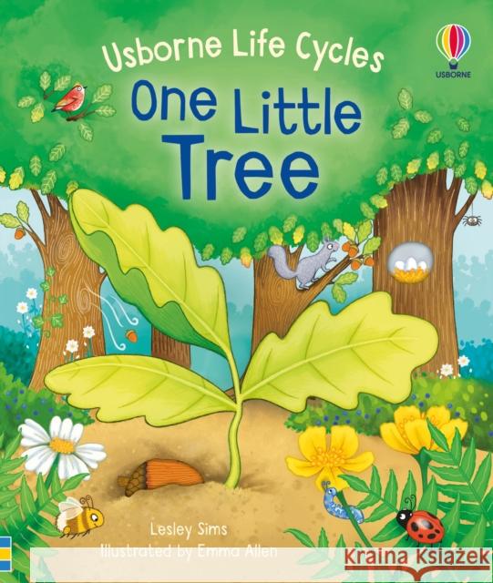 One Little Tree LESLEY SIMS 9781474998802 Usborne Publishing Ltd - książka