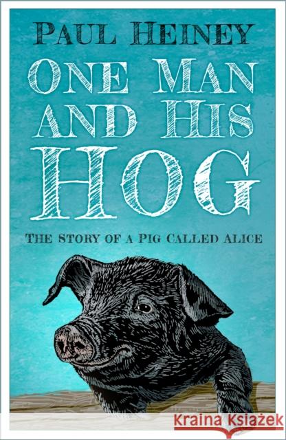 One Man and His Hog: The Story of a Pig Called Alice Paul Heiney 9781837050628 The History Press Ltd - książka
