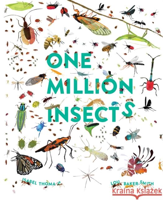 One Million Insects ISABEL THOMAS 9781803380087 Welbeck Publishing Group - książka
