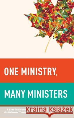 One Ministry, Many Ministers Alan P F Sell 9781498227636 Pickwick Publications - książka