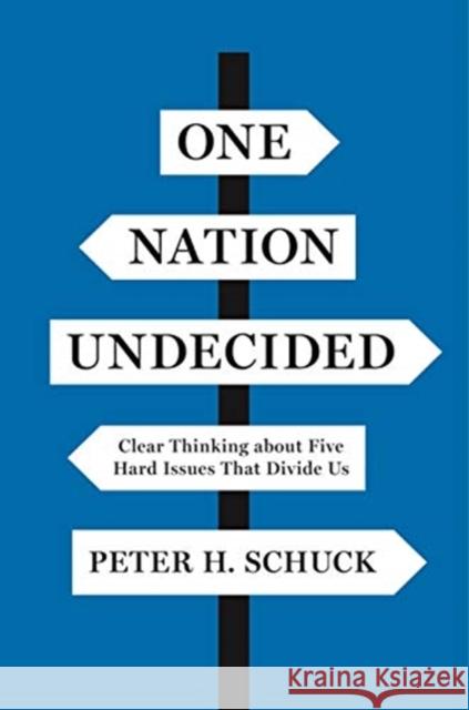 One Nation Undecided: Clear Thinking about Five Hard Issues That Divide Us Peter H. Schuck 9780691191584 Princeton University Press - książka