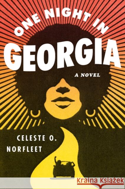 One Night in Georgia Celeste Norfleet 9780062329899 Amistad Press - książka