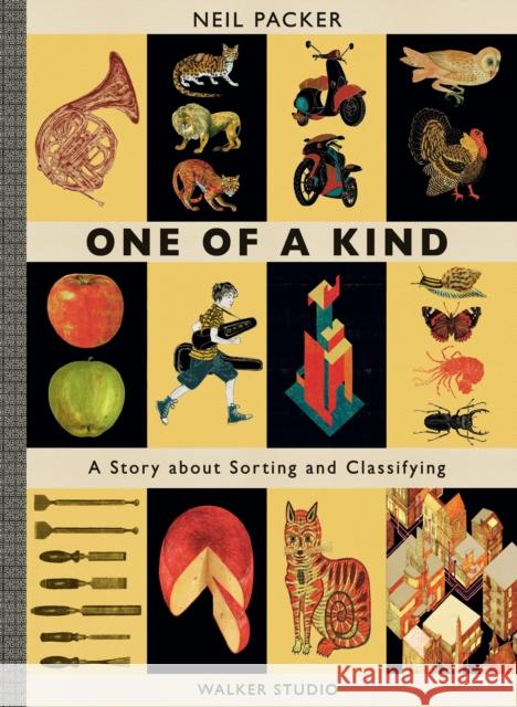 One of a Kind: A Story About Sorting and Classifying Neil Packer 9781406379228 Walker Books Ltd - książka