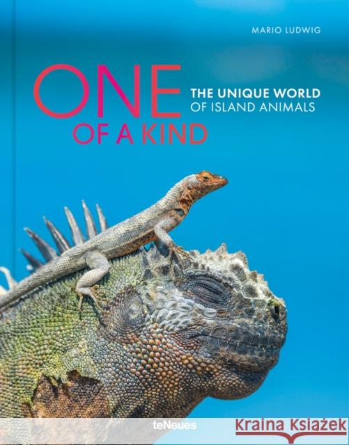 One of a Kind: The Unique World of Island Animals Mario Ludwig 9783961713905 teNeues Publishing UK Ltd - książka