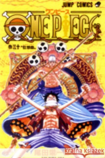 One Piece, Vol. 30 Eiichiro Oda 9781421534466 Viz Media - książka