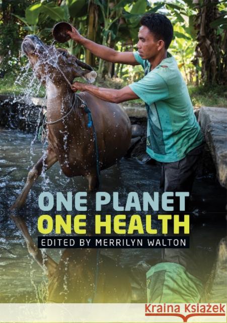 One Planet, One Health Merrilyn Walton 9781743325377 University of Sydney - książka
