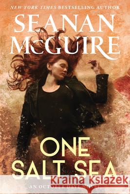 One Salt Sea Seanan McGuire 9780756420376 Daw Books - książka