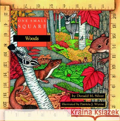 One Small Square: Woods Donald M. Silver Patricia Wynne Patricia Wynne 9780070579330 McGraw-Hill Companies - książka