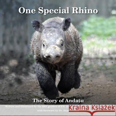 One Special Rhino: The Story of Andatu The Fifth Graders of P. S. 107 John W. K 9780692209189 Beast Relief - książka