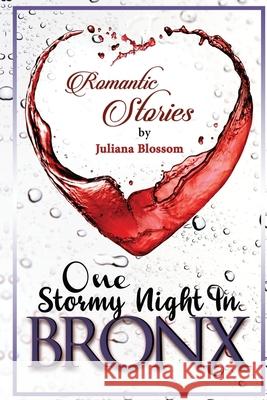 One Stormy Night In Bronx Juliana Blossom 9781670822512 Independently Published - książka