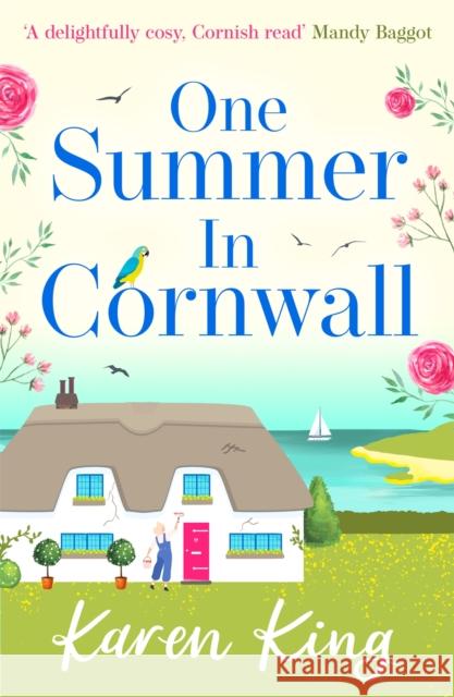 One Summer in Cornwall: the perfect feel-good summer romance Karen King 9781472278715 Headline Publishing Group - książka