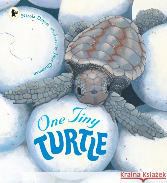One Tiny Turtle Nicola Davies 9781406364637 Walker Books Ltd - książka