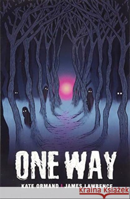 One Way Kate Ormand, James Lawrence 9781788373807 Badger Learning - książka