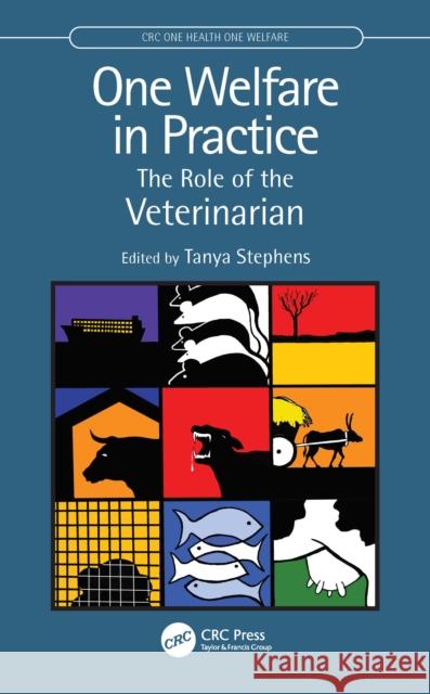 One Welfare in Practice: The Role of the Veterinarian Tanya Stephens 9781032110783 CRC Press - książka