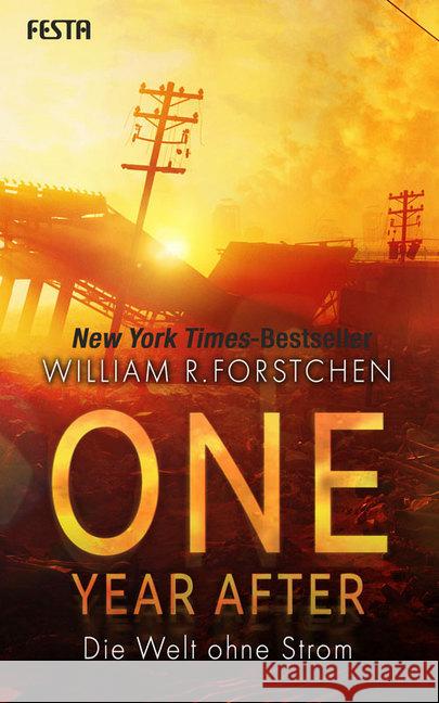 One Year After - Die Welt ohne Strom Forstchen, William R. 9783865527639 Festa - książka