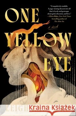 One Yellow Eye Leigh Radford 9781668081211 Gallery Books - książka