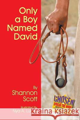 Only a Boy Named David Shannon Scott, Nya a Lucas 9781479611157 Teach Services, Inc. - książka