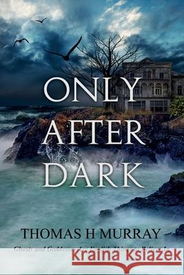Only After Dark: One Man's Descent Into Obsession and Madness Thomas H Murray 9781735260679 Bastet Publishing - książka