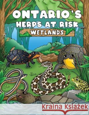 Ontario\'s Herps At Risk Wetlands Anne Yagi Katharine Yagi 9781778021510 8trees Inc. - książka