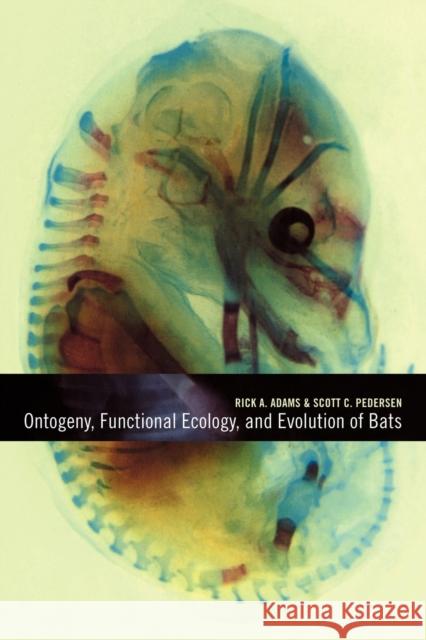 Ontogeny, Functional Ecology, and Evolution of Bats Rick A. Adams Scott C. Pedersen 9780521087353 Cambridge University Press - książka