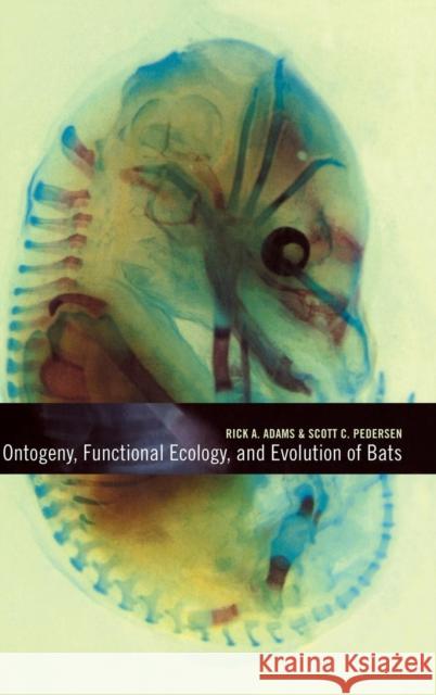 Ontogeny, Functional Ecology, and Evolution of Bats  9780521626323 CAMBRIDGE UNIVERSITY PRESS - książka