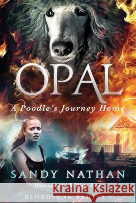 Opal: A Poodle's Journey Home William Renn Sandy Nathan 9781937927103 Vilasa Press - książka