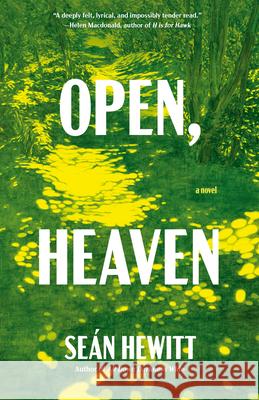 Open, Heaven Se?n Hewitt 9780593688847 Vintage - książka