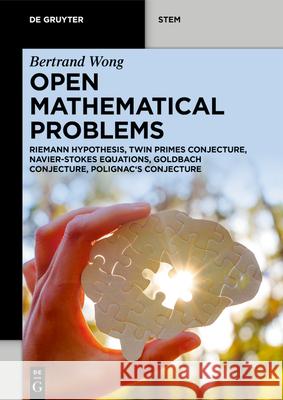 Open Mathematical Problems: Riemann Hypothesis, Twin Primes Conjecture, Navier-Stokes Equations, Goldbach Conjecture, Polignac's Conjecture Bertrand Wong 9783112236178 de Gruyter - książka