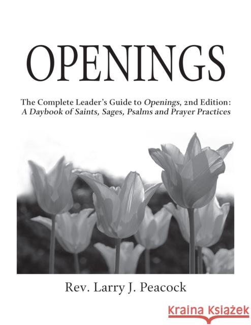 Openings Leader Guide 2/E Larry J. Peacock 9781683365679 Skylight Paths Publishing - książka