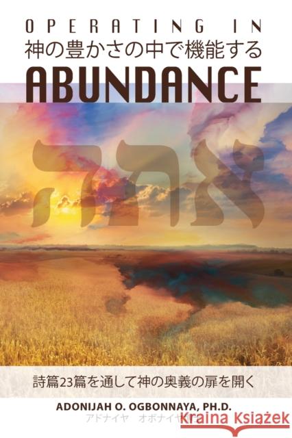Operating in Abundance (Japanese Edition) Adonijah O Ogbonnaya Ph D 9781922428813 As He Is T/A Seraph Creative - książka