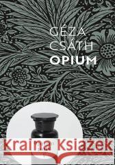 Opium Geza Csath 9788381965309 PIW - książka